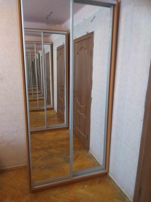 Шафа-купе V-116 (дзеркала) - Фото 2